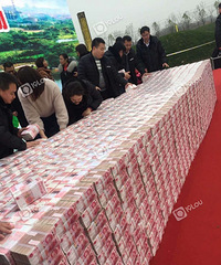 ���ս��ֽ�ѳ�ǽ�����Ǳ��˼ҵĹ�˾��