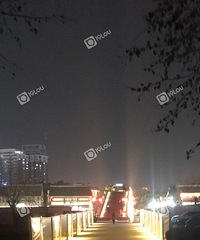 ���ϵ����º������ զ����ô��ɭ����