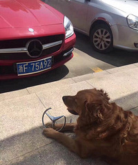 ������ζ���������أ�