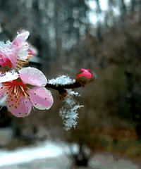 Сū24ڡСū긣ȥ÷̤÷