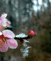 С��ū���긣����������ȥ÷����̤����÷