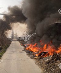 ͻ��������07ʡ���������������ݻ��ֳ�Ũ�̹������춼���ˣ�