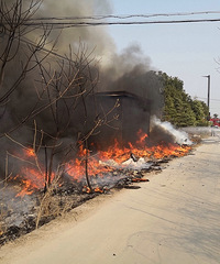 ͻ��������07ʡ���������������ݻ��ֳ�Ũ�̹������춼���ˣ�