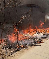 ����ĳʡ������������𣡺���������