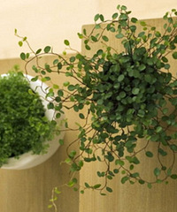 ��֪����ô������������Ŀ���������