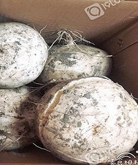 ��˾�������һ����ܲ����ճ����ģ�