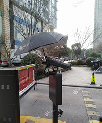 С������ͷ�������Ǻã����С��ˡ�Ϊ���ڷ絲�꣡