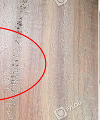 ������̰����255Ԫ/ƽ ��ĵذ徹Ȼ������