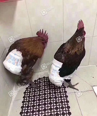 Цskr��!�����������������ʪ���������̫�ر��ˣ�