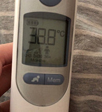 流感中招 连老母亲也发烧了