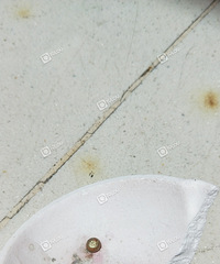 ��**�Ķ�������֮����������