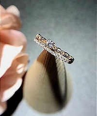 ���ֳ�ֵ��Ʒ��Ϯ ȫ���������ۣ�