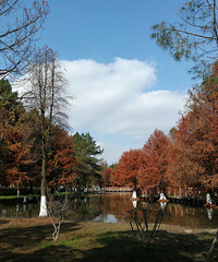 �����ˣ���������������������7���� ���ѣ��������ǰ;