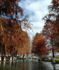 �����ˣ���������������������7���� ���ѣ��������ǰ;