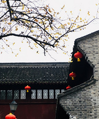 梅湾寻梅