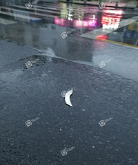 �峿4�����һ��̫�ᴩ��·����ײ��ʮ���ף��Ѳ��ҡ���