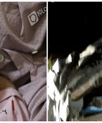 ���˸�����ҹ����Ů�Ӽ�У�����ֱ�ӡ�