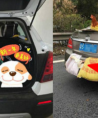 ����ؼ� ɹɹ��Ĺ�̺���