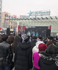 ������Ҫ��������������