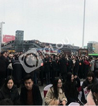 ������Ҫ��������������