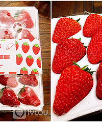 5��Ǯһ�Ų�ݮ ֵ��ֵ����