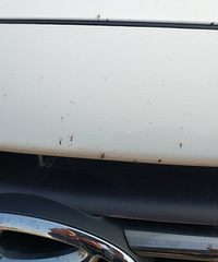 ����һ�˸��� ����ײ���˺ܶ���� ���ѣ������У�