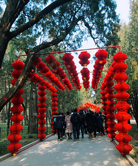 ����ȥ�����������æ���˶ൽֻ�뺰������