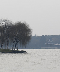 ������������ ������������ζ����