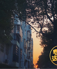 �ճ����� ���ǳ���