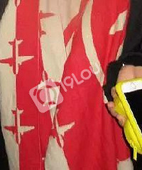 ��������Ҫ��ɱ������ҹһ�������ں���������ԭ����Ů��...