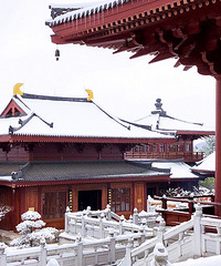 ��ѩ�׷��꣡����Ǵ�ѩ����ֱ������