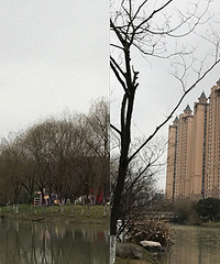 �������е���ν��լ��ֱ�󵽱�����ﱤһ��...