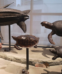 ����԰̫�䣬ȥ���￴������걾������ʯҲ���õ�