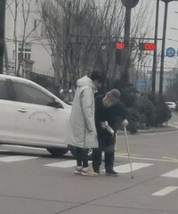 �����  ��ͩ��������¸ɵ�Ư����