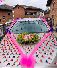 ���˳���ԣ���鳵̫�д����˰ɣ�