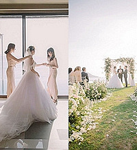 �ռ������߲�ƺ���� ����6W+