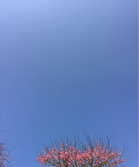 ���������������