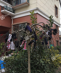 ����ĳС�����֡������¼ܡ�����������ζ���ģ�