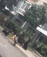 С��¥����5���� ������ǣ��ͦ�ף��ŵò�����¥��