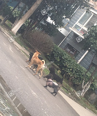 С��¥����5���� ������ǣ��ͦ�ף��ŵò�����¥��