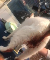 �����è���������� ���þͱ�ѪŻ�£��������� �ϰ�˵��