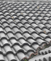 �賿������ �ݶ�è����ս����������ô��Ĺ�ʺ��̫�����ˣ�