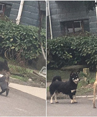 С��5������·��̫���£�������¥