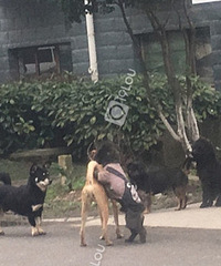 С��5������·��������¥��