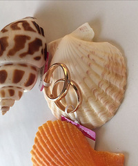 ��һ��������õ���������л�Ϲ��������� ���ҹ��������~