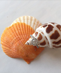 ��һ��������õ���������л�Ϲ��������� ���ҹ��������~