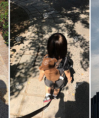 ����ɹͼ һ���ٻ�̫���ص����˵��ϳ�