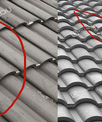 ̫���ģ���������è����ս ���³����㣡