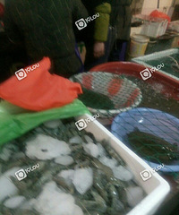 �˳���ǰ�������Ҳ̫����ˣ�