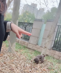 90��ˮƿ��MM ����158 ����һֻС̩�� ���Ӽ���